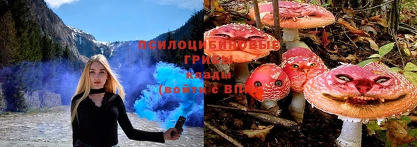 apvp Аркадак